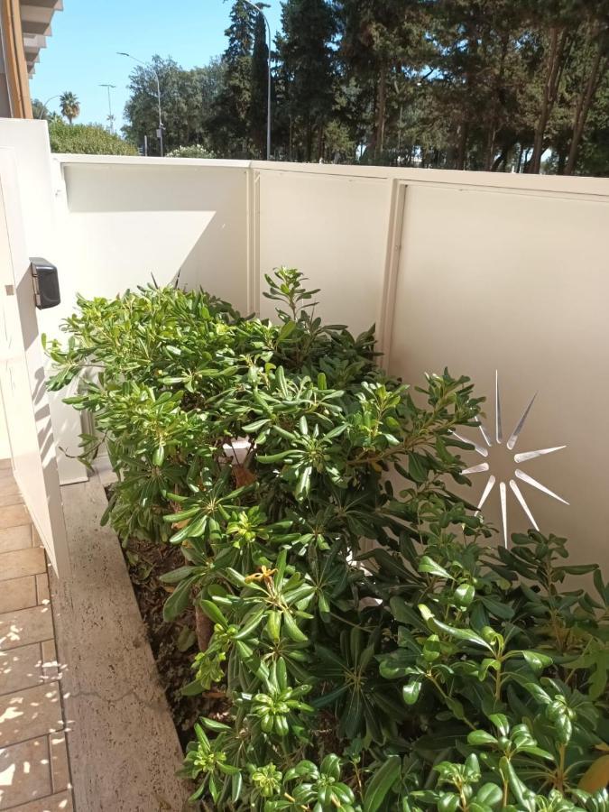 צ'יביטאנובה מארקה B&B Lido Apartament 10A מראה חיצוני תמונה
